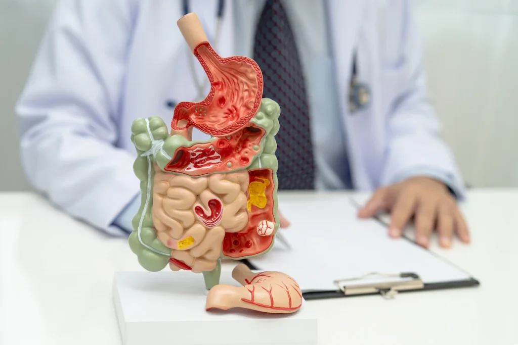 Proses Pencernaan Makanan