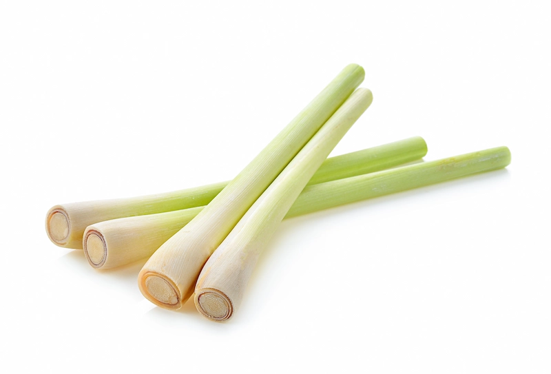 cara ampuh mengusir nyamuk dengan serai