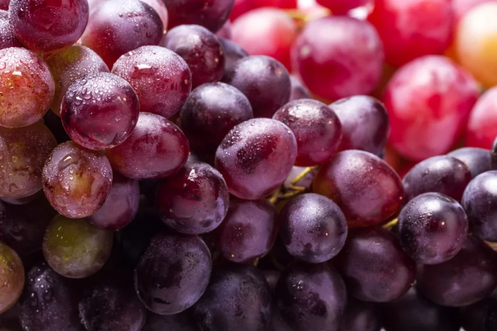 manfaat buah anggur merah