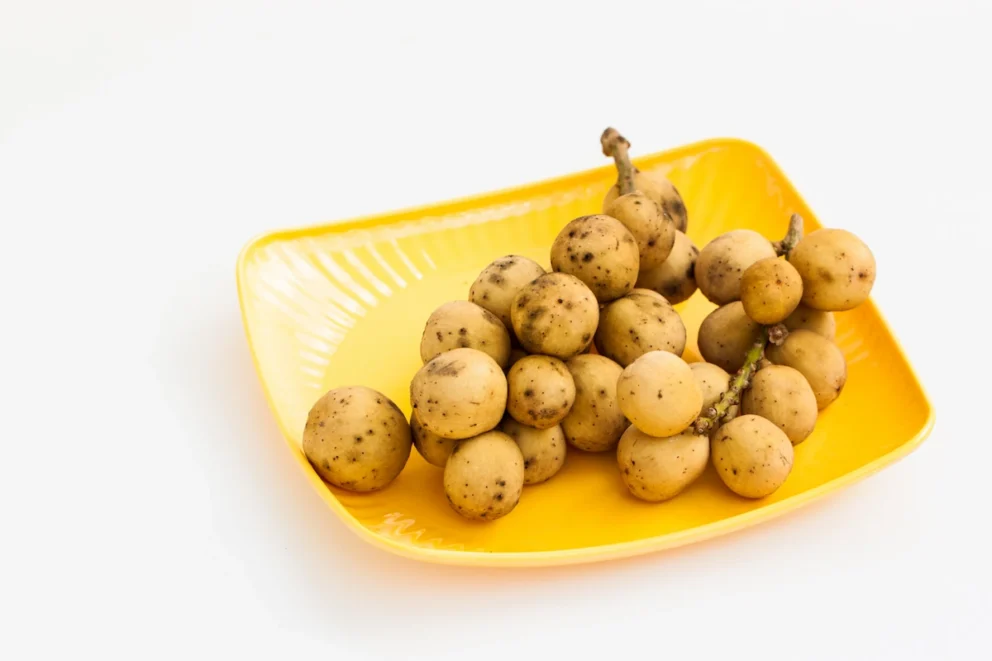 manfaat buah duku untuk kesehatan