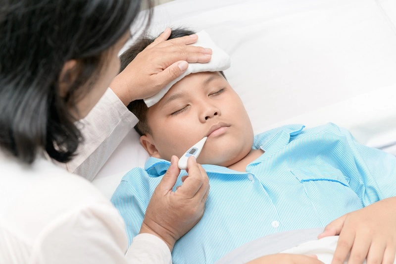 penyakit tifus adalah